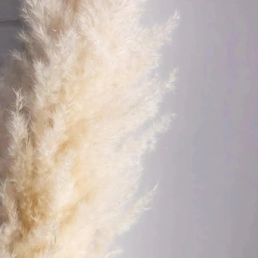 80 cm Pampas Pluimen Boeket – Natuurlijk & Fluffy Voor Boho Interieur