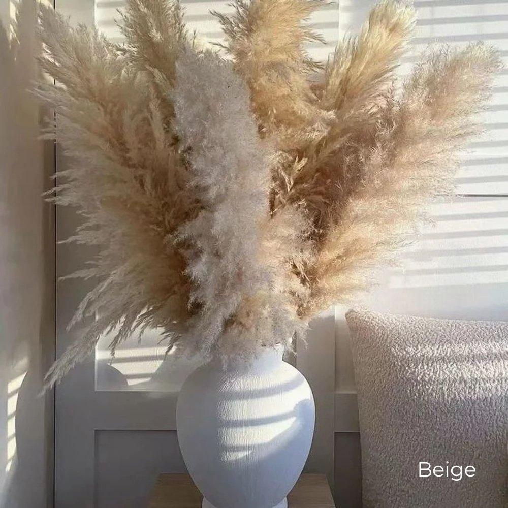 80 cm Pampas Pluimen Boeket – Natuurlijk & Fluffy Voor Boho Interieur
