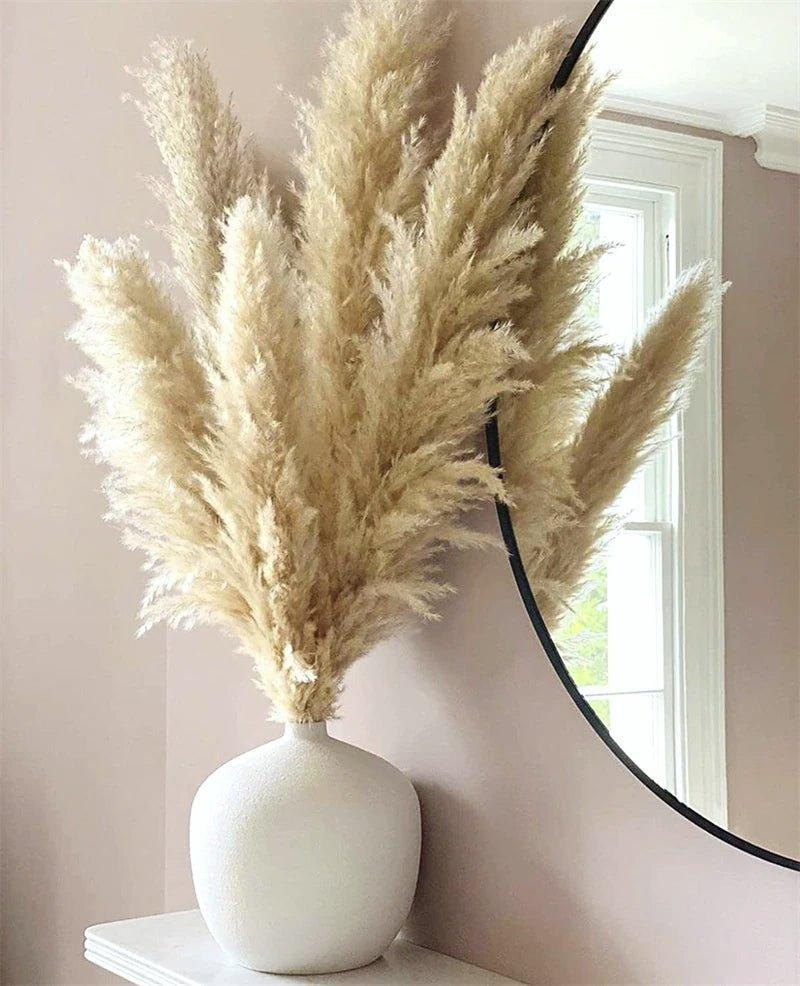 80 cm Pampas Pluimen Boeket – Natuurlijk & Fluffy Voor Boho Interieur