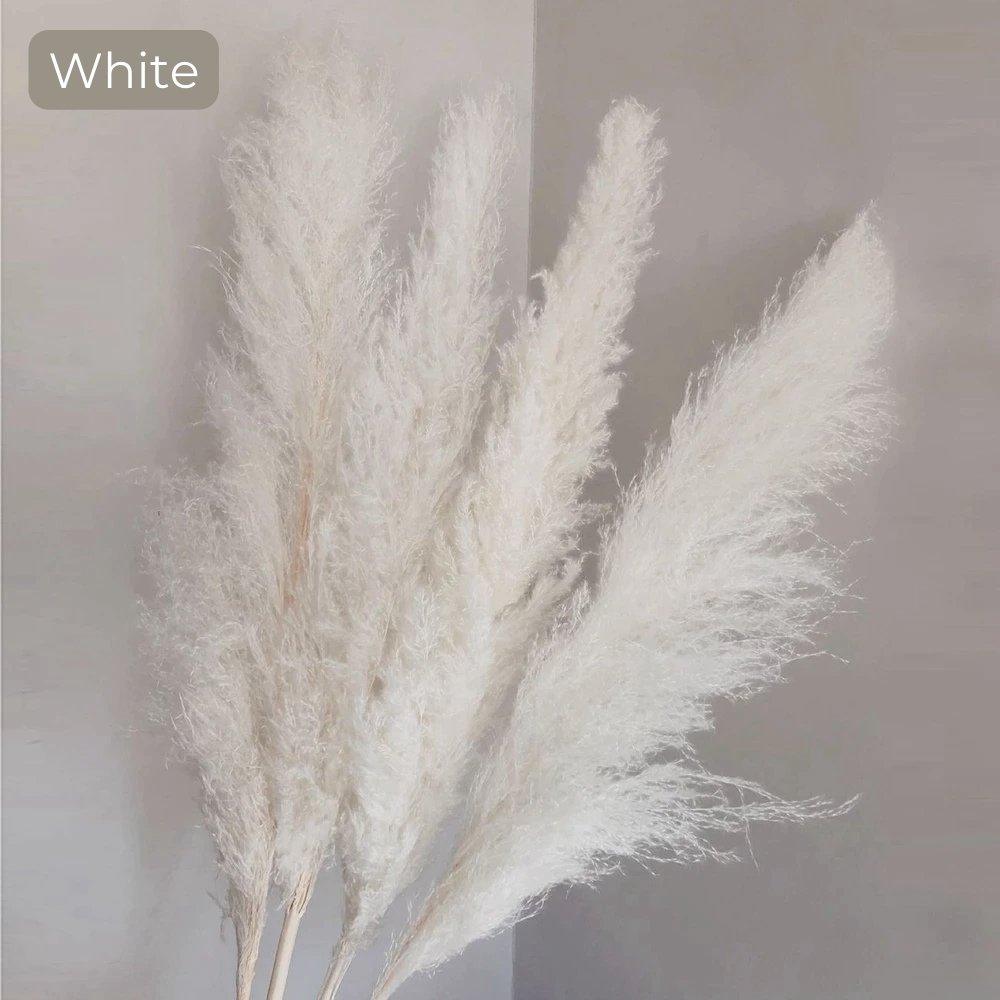 80 cm Pampas Pluimen Boeket – Natuurlijk & Fluffy Voor Boho Interieur
