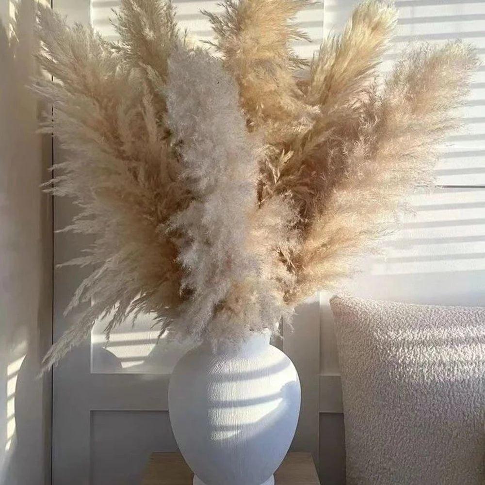 80 cm Pampas Pluimen Boeket – Natuurlijk & Fluffy Voor Boho Interieur