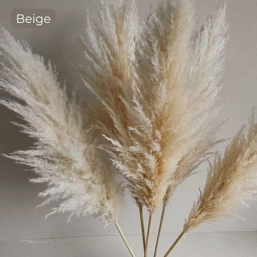 80 cm Pampas Pluimen Boeket – Natuurlijk & Fluffy Voor Boho Interieur