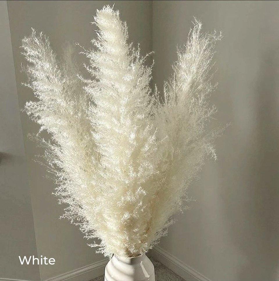 80 cm Pampas Pluimen Boeket – Natuurlijk & Fluffy Voor Boho Interieur