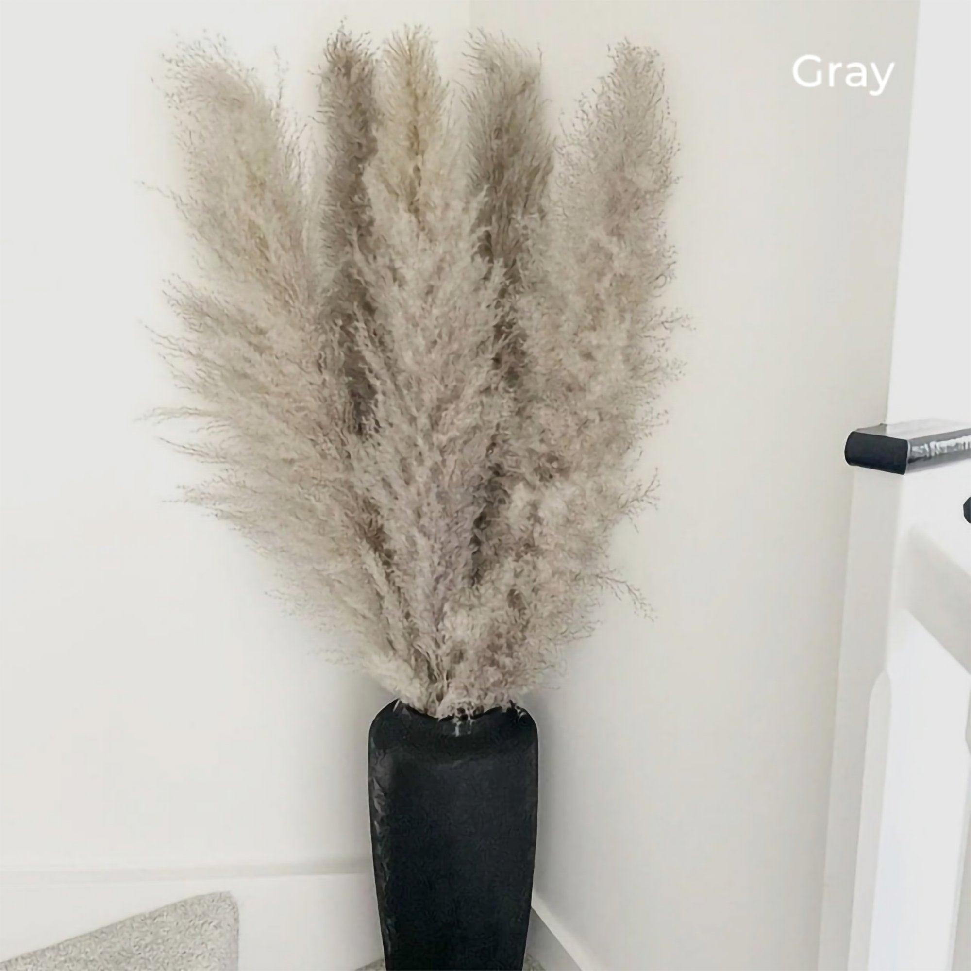 80 cm Pampas Pluimen Boeket – Natuurlijk & Fluffy Voor Boho Interieur