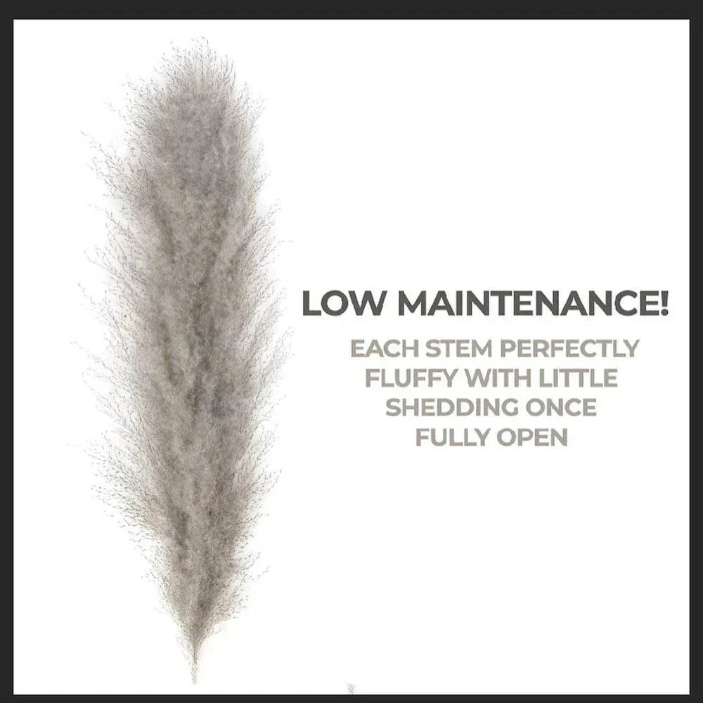 80 cm Pampas Pluimen Boeket – Natuurlijk & Fluffy Voor Boho Interieur