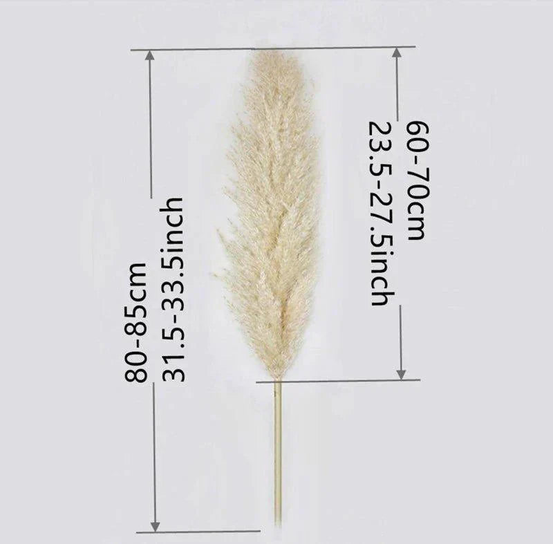 80 cm Pampas Pluimen Boeket – Natuurlijk & Fluffy Voor Boho Interieur