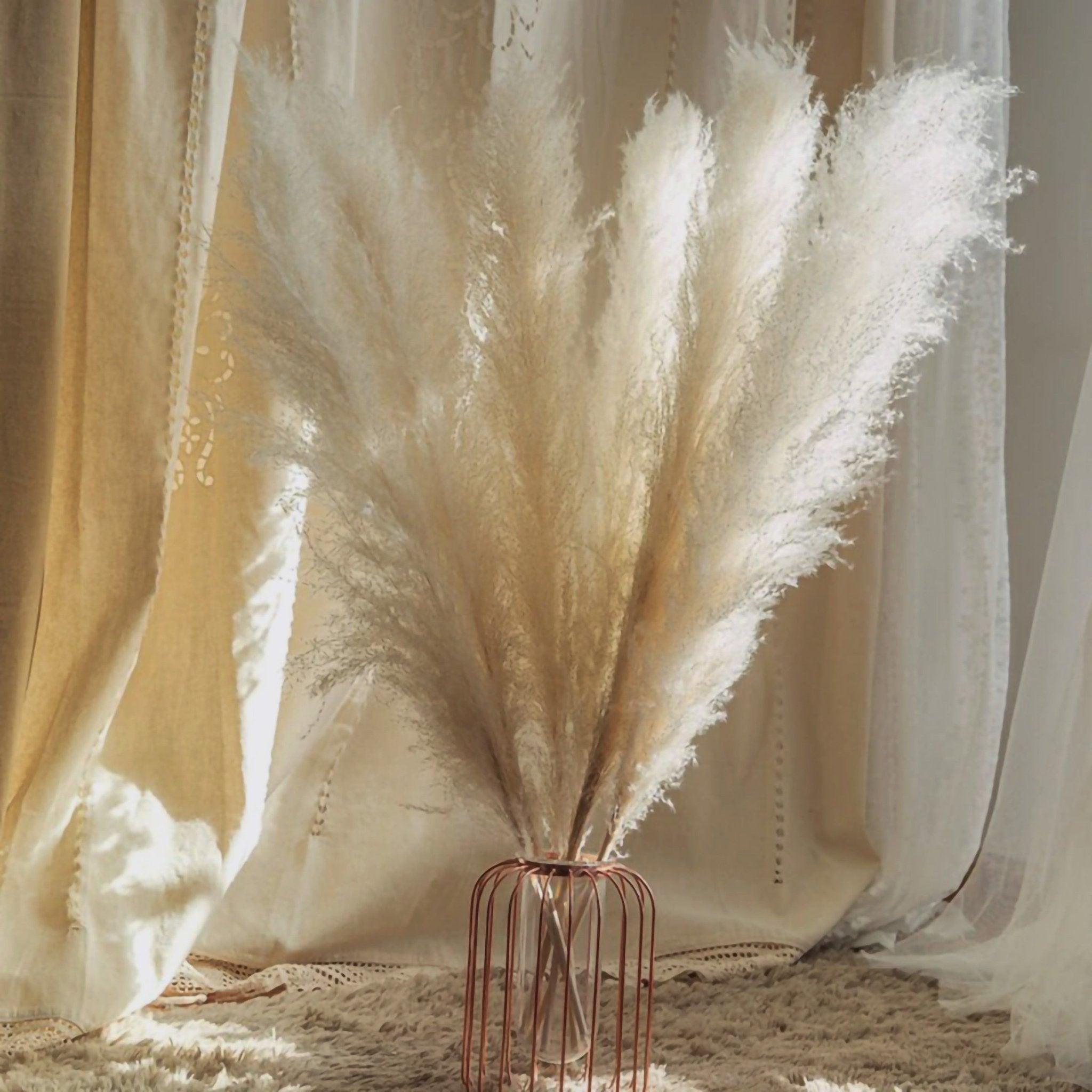 80 cm Pampas Pluimen Boeket – Natuurlijk & Fluffy Voor Boho Interieur