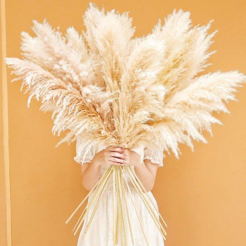 80 cm Pampas Pluimen Boeket – Natuurlijk & Fluffy Voor Boho Interieur