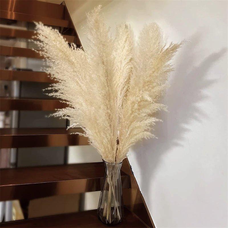 80 cm Pampas Pluimen Boeket – Natuurlijk & Fluffy Voor Boho Interieur