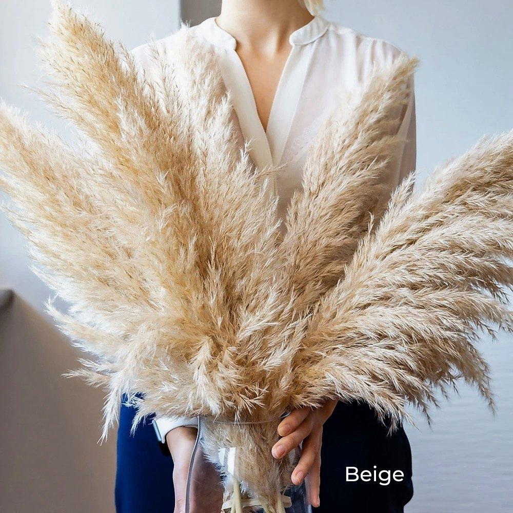 80 cm Pampas Pluimen Boeket – Natuurlijk & Fluffy Voor Boho Interieur