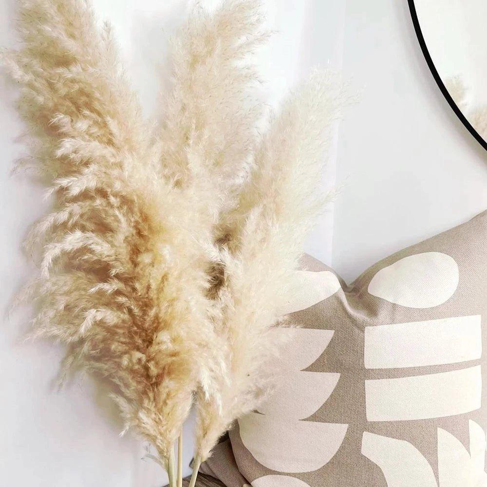 80 cm Pampas Pluimen Boeket – Natuurlijk & Fluffy Voor Boho Interieur