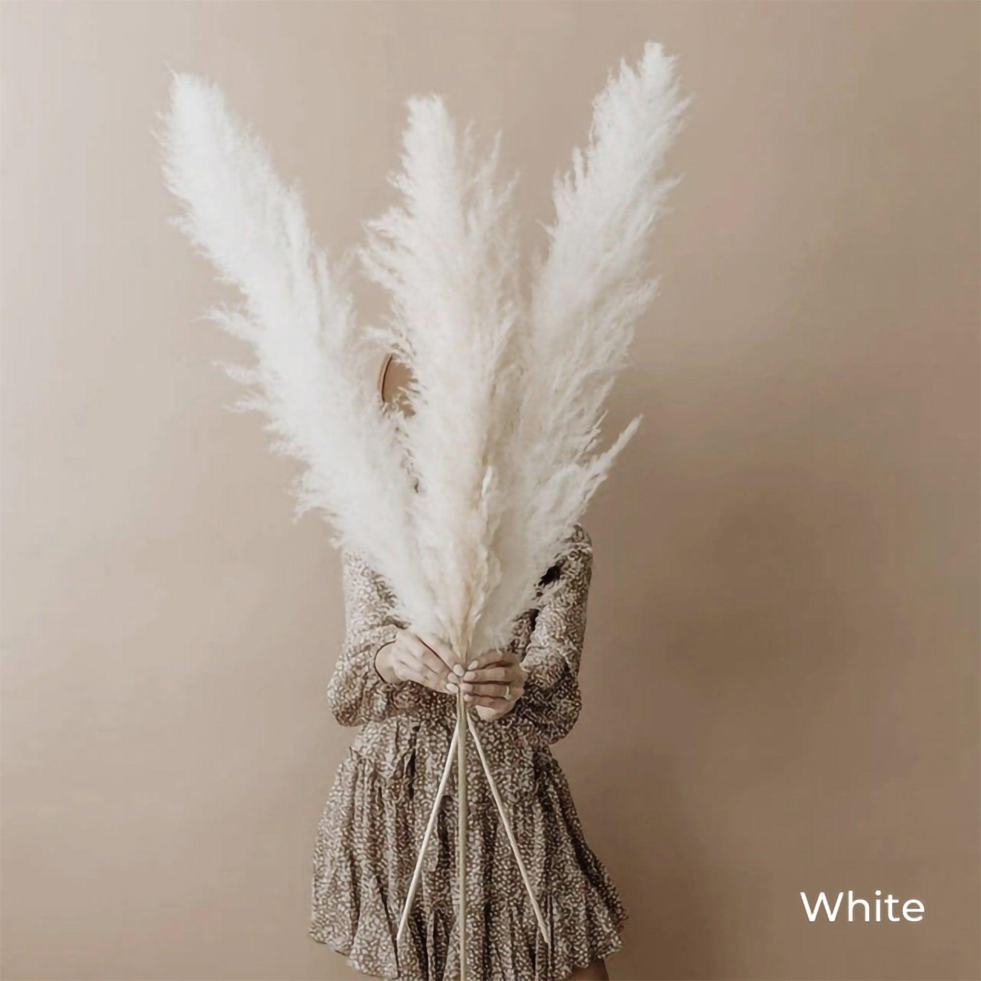 80 cm Pampas Pluimen Boeket – Natuurlijk & Fluffy Voor Boho Interieur