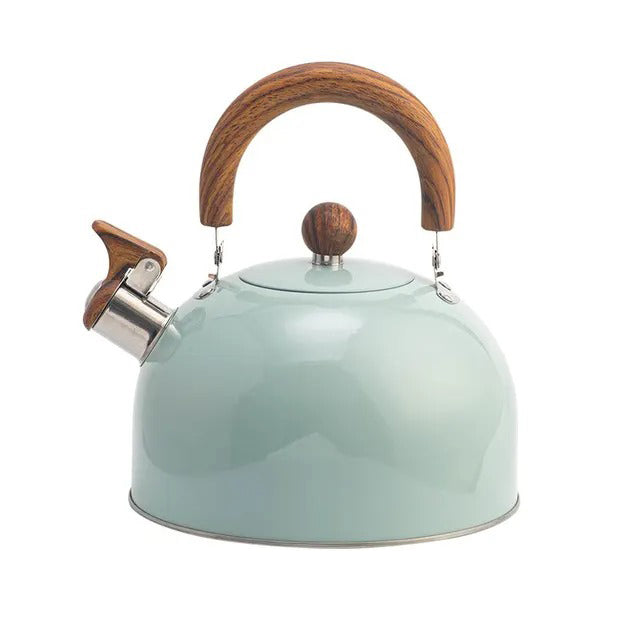 RVS Fluitketel 2.5L Met Snelle Opwarming & Modern Design