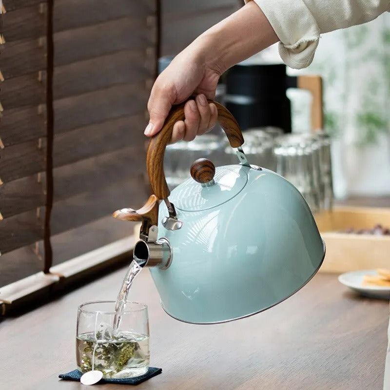 RVS Fluitketel 2.5L Met Snelle Opwarming & Modern Design