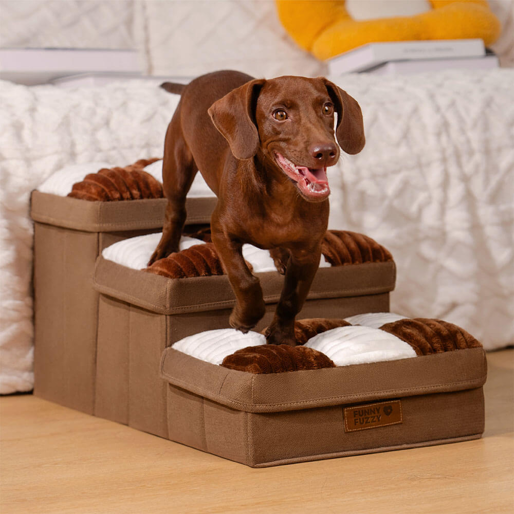 Honden Trap met Opbergruimte voor Toegang tot Bank of Bed – Stijlvol en Handig