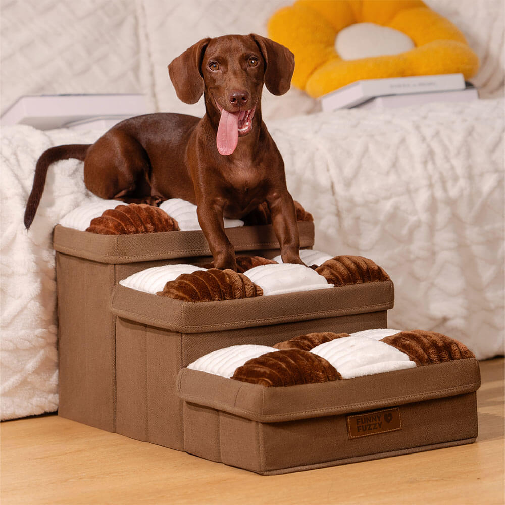 Honden Trap met Opbergruimte voor Toegang tot Bank of Bed – Stijlvol en Handig