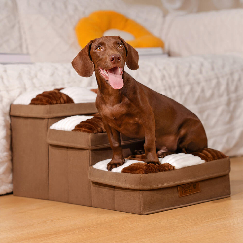 Honden Trap met Opbergruimte voor Toegang tot Bank of Bed – Stijlvol en Handig