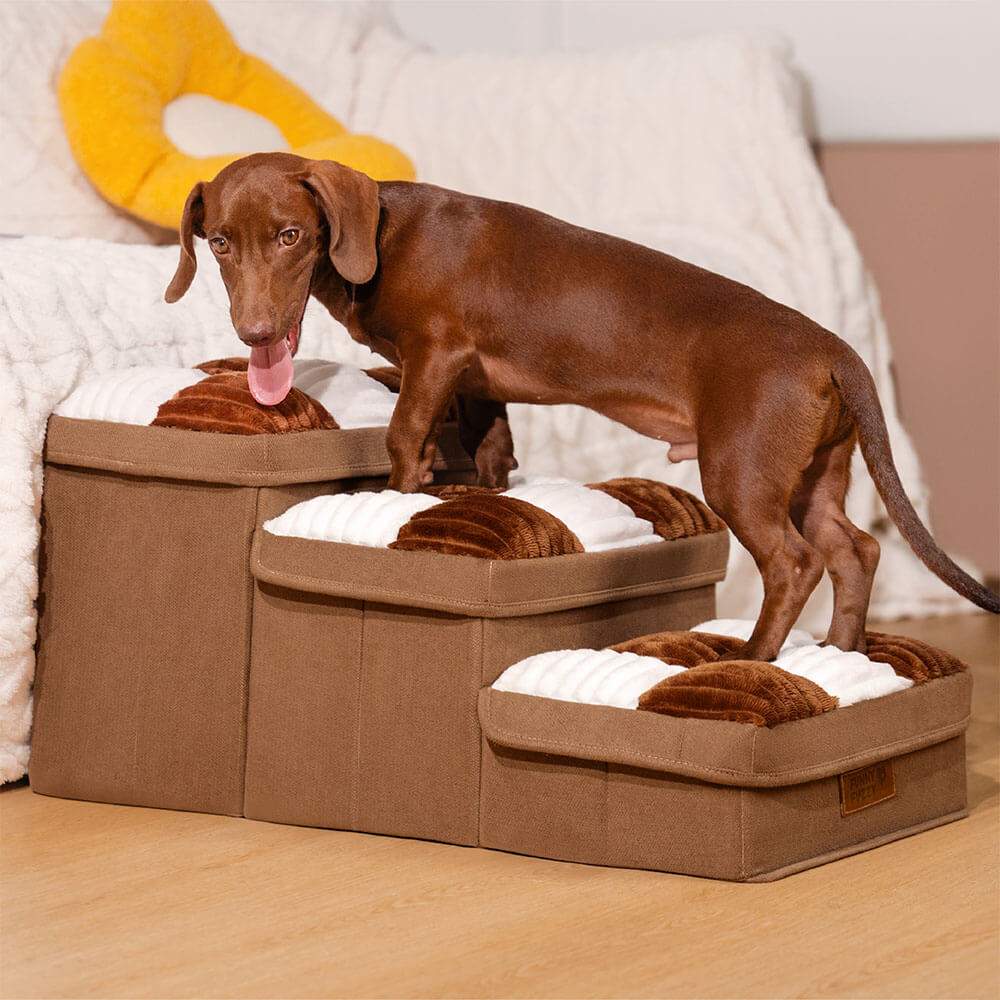 Honden Trap met Opbergruimte voor Toegang tot Bank of Bed – Stijlvol en Handig