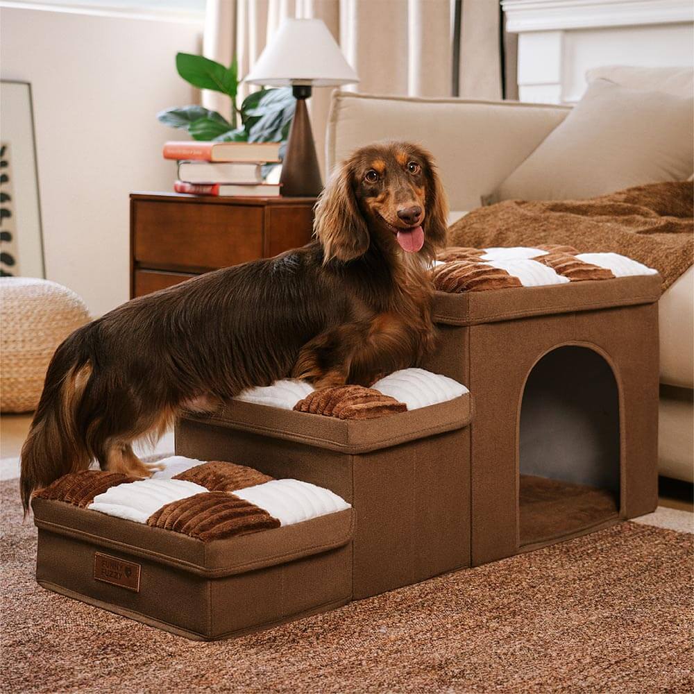 Honden Trap met Opbergruimte voor Toegang tot Bank of Bed – Stijlvol en Handig