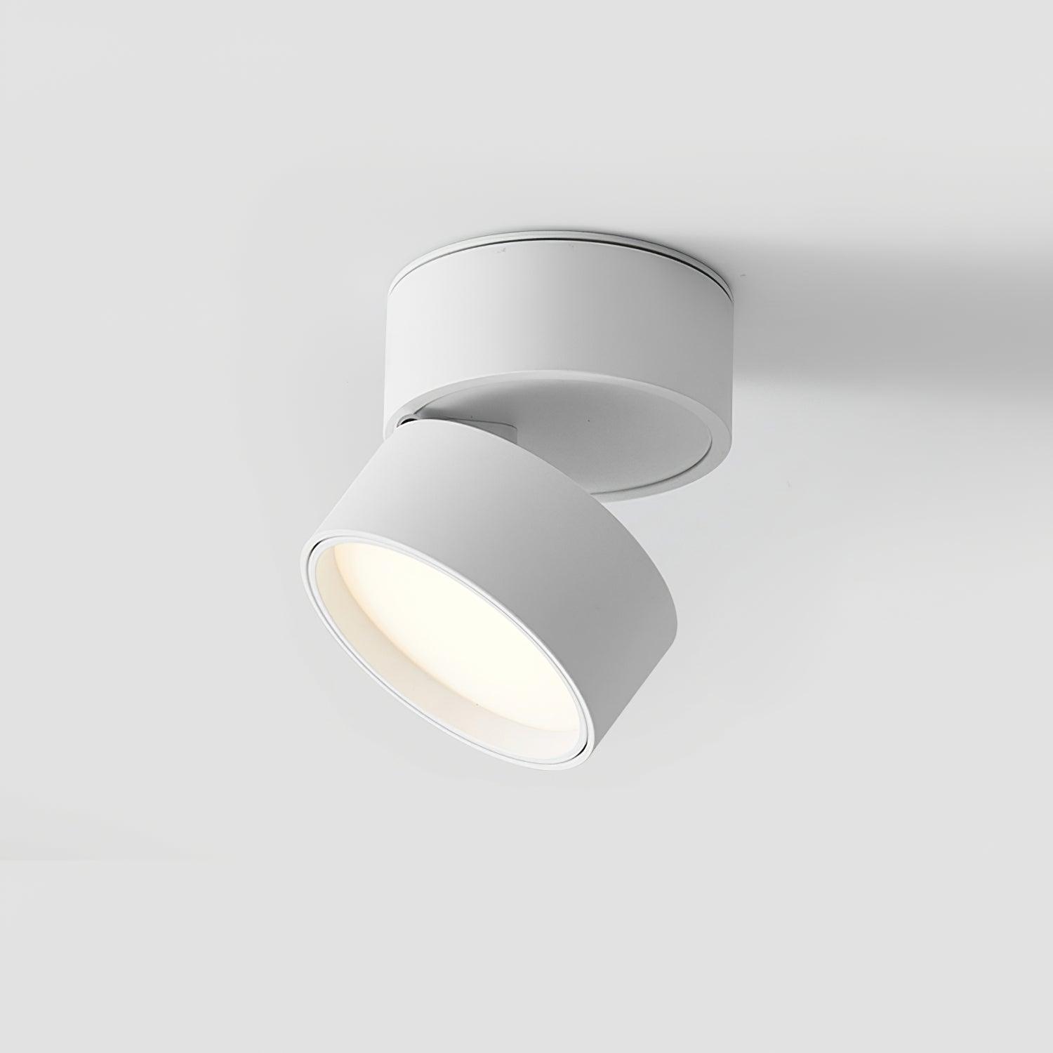 Moderne Plafondlamp Spotje – Draaibare LED Verlichting – Warm Wit 3000K – Aluminium Designlamp