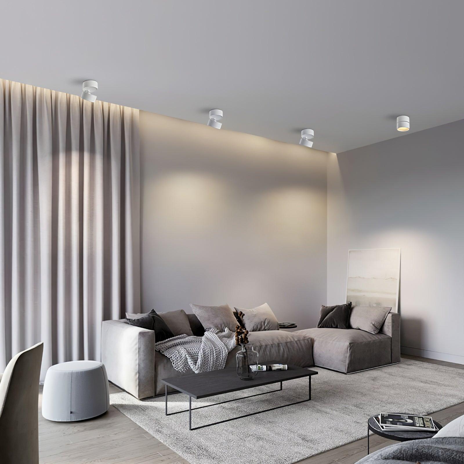 Moderne Plafondlamp Spotje – Draaibare LED Verlichting – Warm Wit 3000K – Aluminium Designlamp