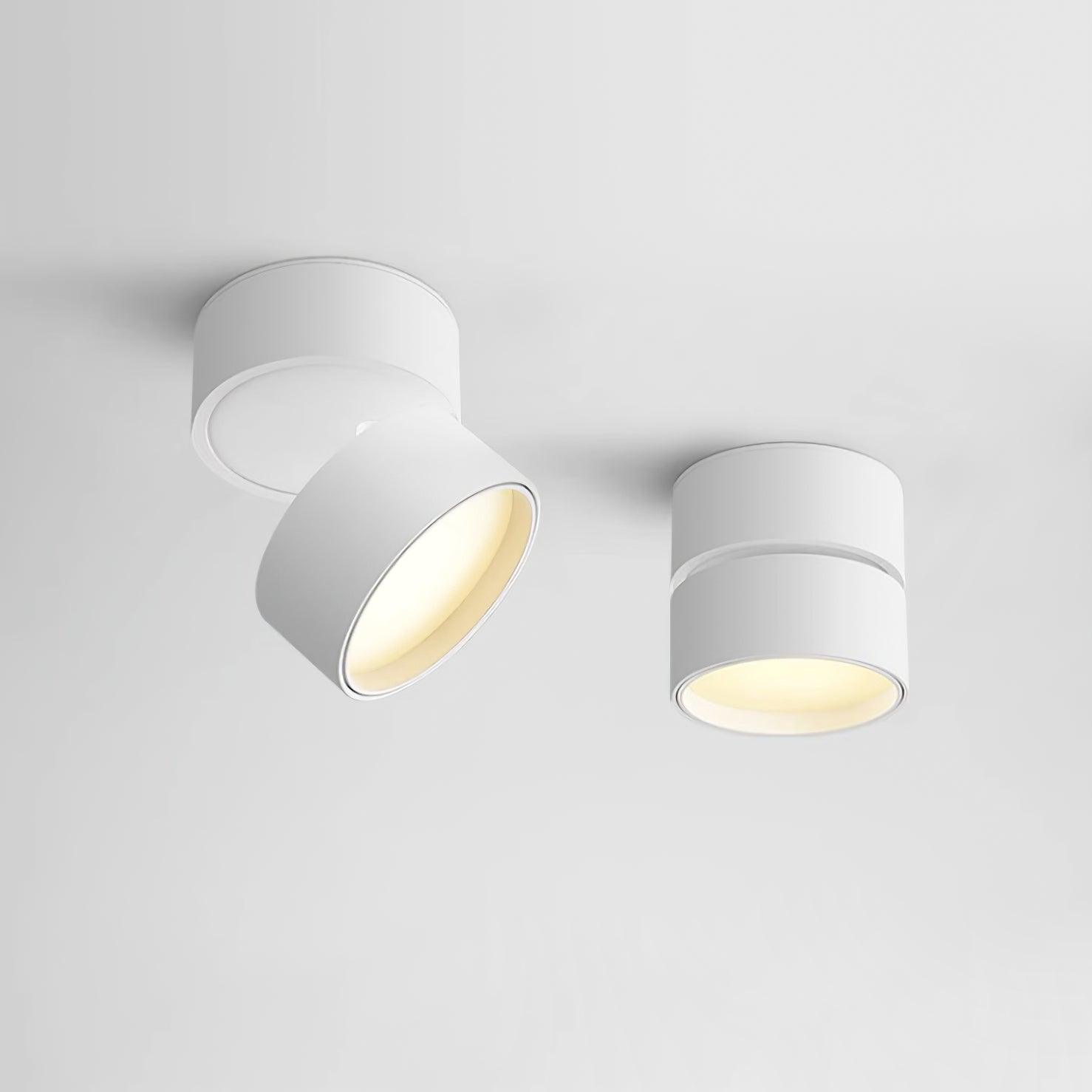 Moderne Plafondlamp Spotje – Draaibare LED Verlichting – Warm Wit 3000K – Aluminium Designlamp