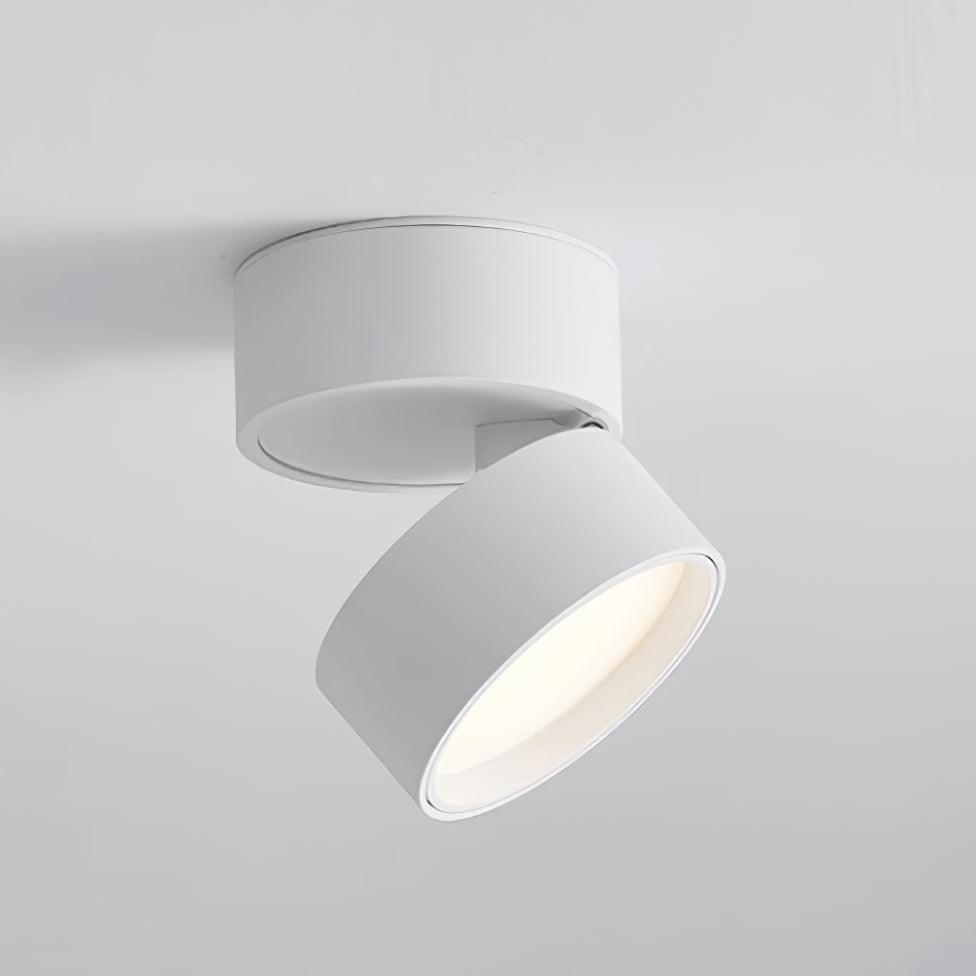Moderne Plafondlamp Spotje – Draaibare LED Verlichting – Warm Wit 3000K – Aluminium Designlamp
