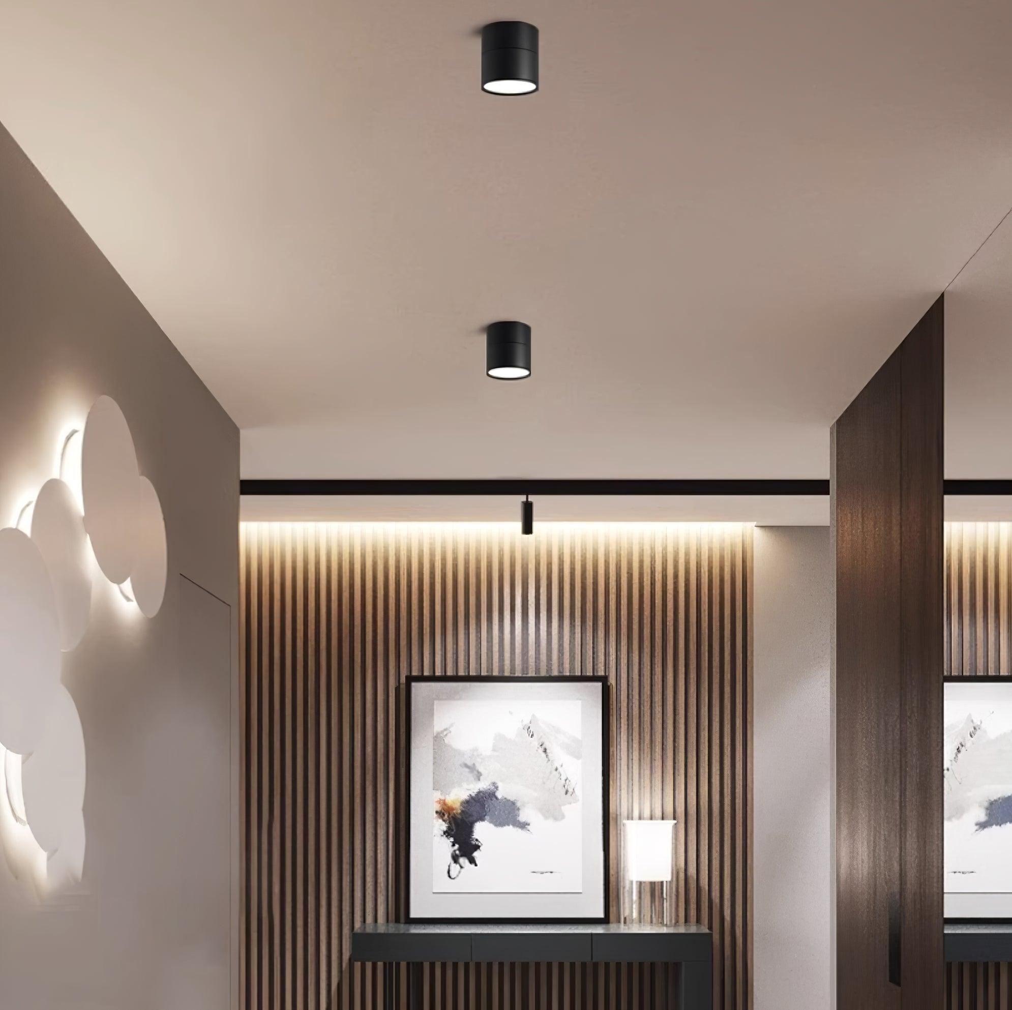 Moderne Plafondlamp Spotje – Draaibare LED Verlichting – Warm Wit 3000K – Aluminium Designlamp