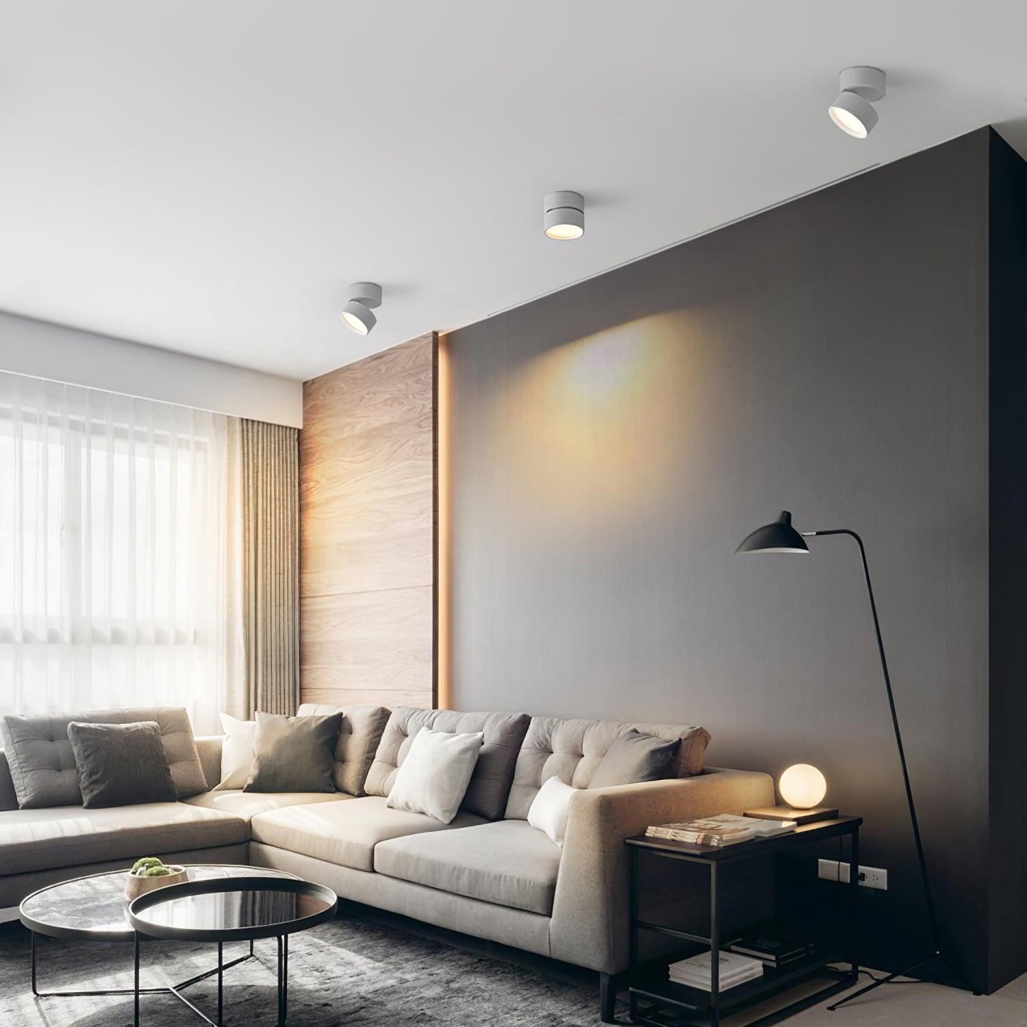 Moderne Plafondlamp Spotje – Draaibare LED Verlichting – Warm Wit 3000K – Aluminium Designlamp