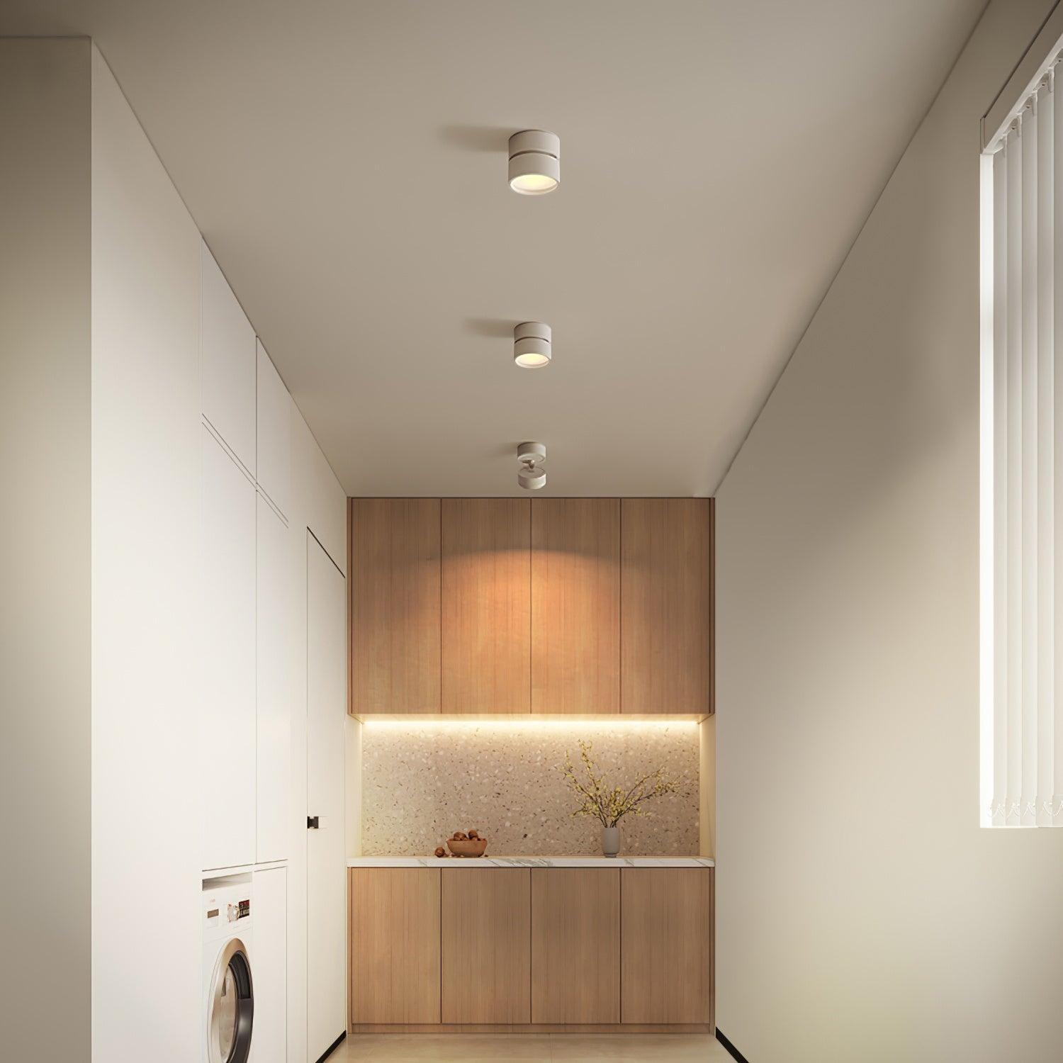 Moderne Plafondlamp Spotje – Draaibare LED Verlichting – Warm Wit 3000K – Aluminium Designlamp