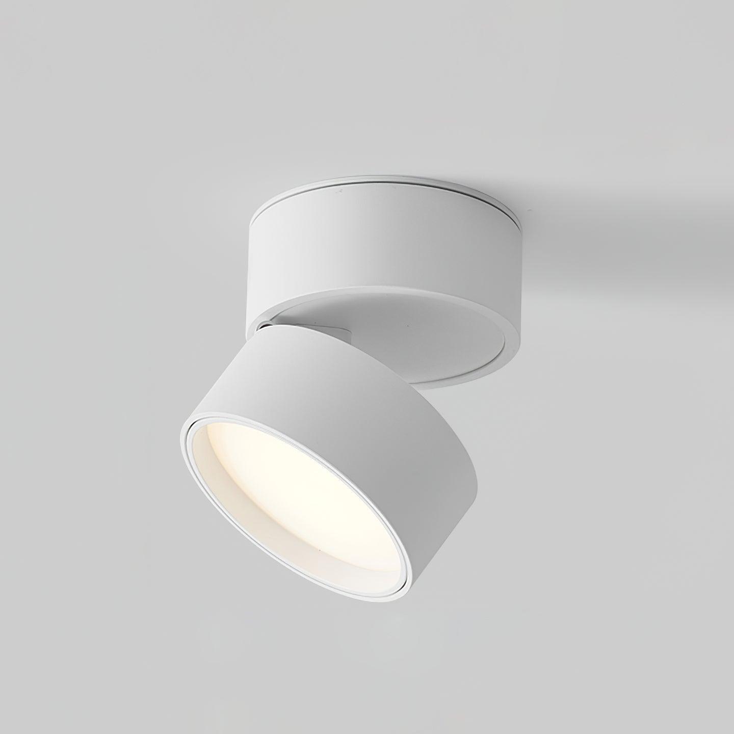 Moderne Plafondlamp Spotje – Draaibare LED Verlichting – Warm Wit 3000K – Aluminium Designlamp