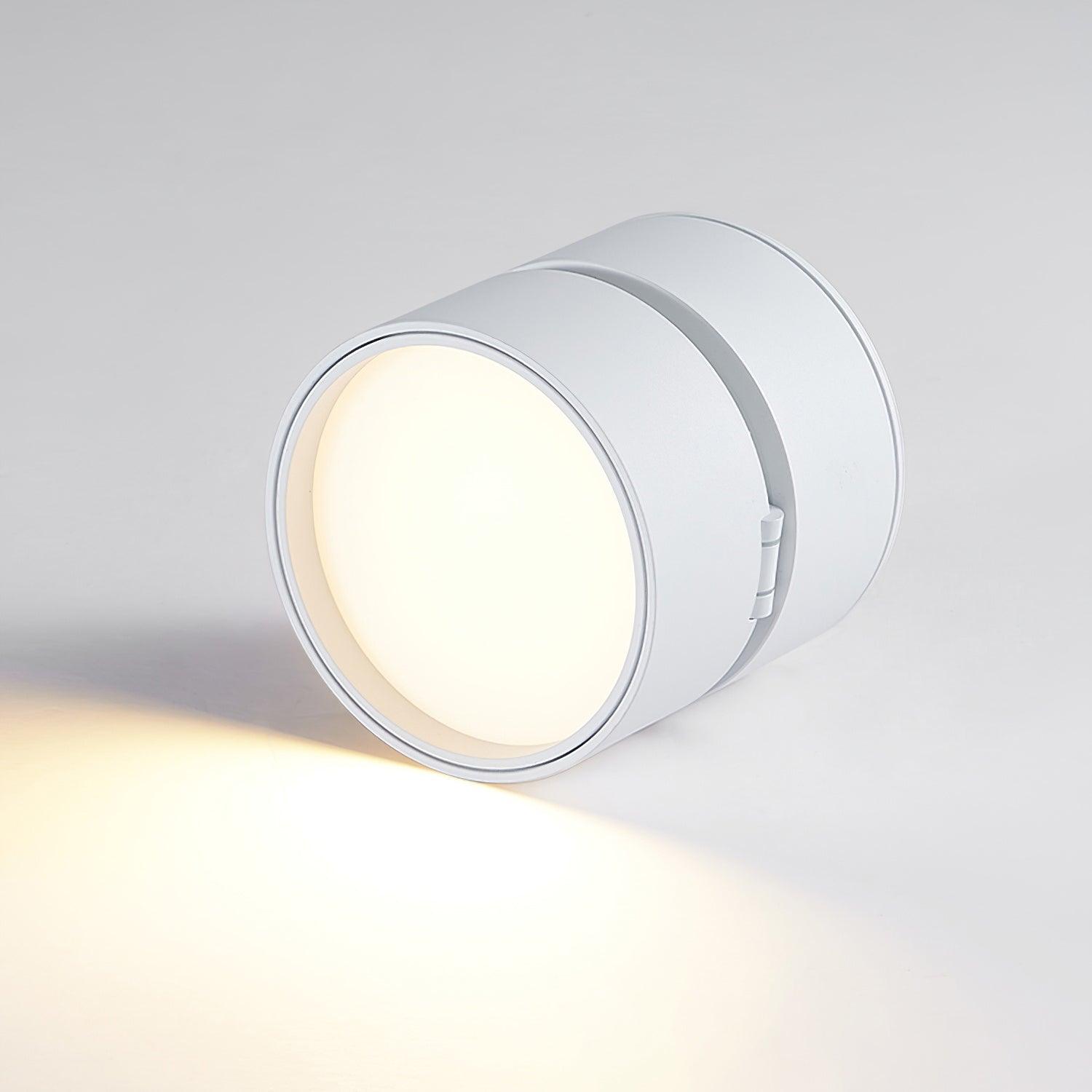Moderne Plafondlamp Spotje – Draaibare LED Verlichting – Warm Wit 3000K – Aluminium Designlamp