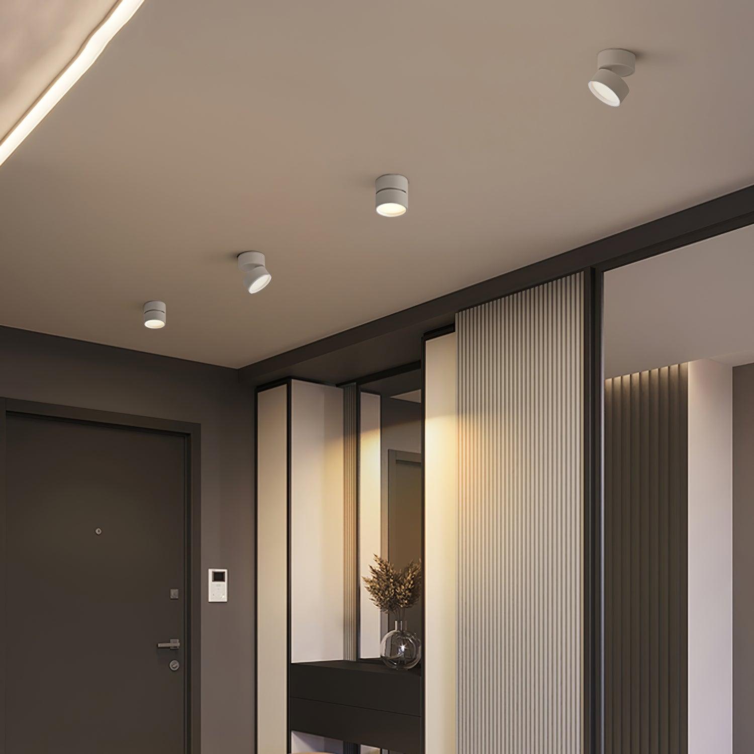 Moderne Plafondlamp Spotje – Draaibare LED Verlichting – Warm Wit 3000K – Aluminium Designlamp