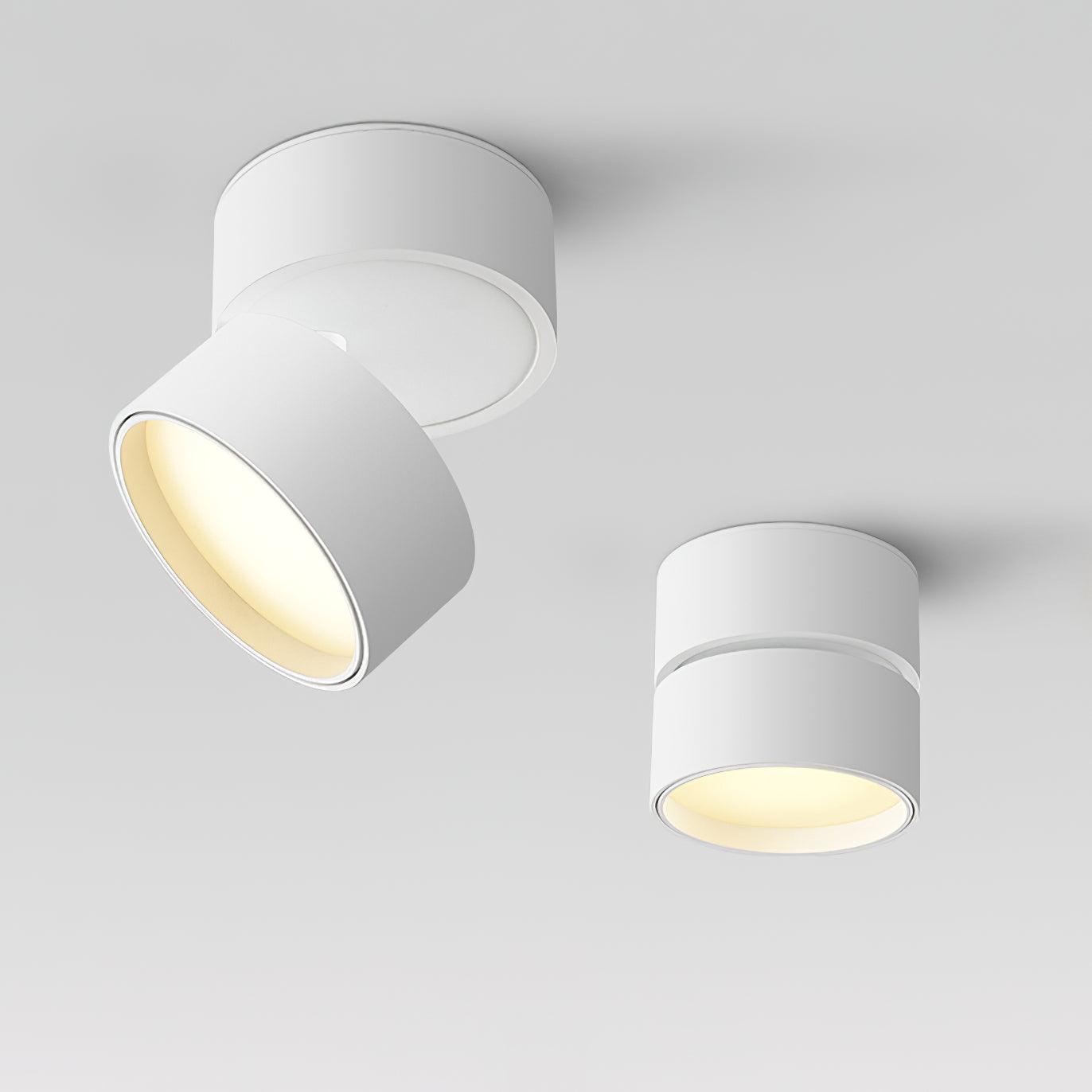 Moderne Plafondlamp Spotje – Draaibare LED Verlichting – Warm Wit 3000K – Aluminium Designlamp