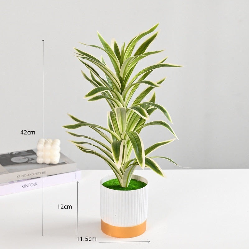 Onderhoudsvrije Kunstplant Voor Een Groene En Moderne Sfeer