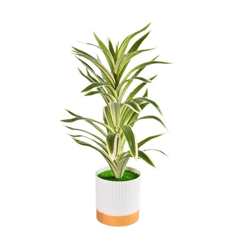 Onderhoudsvrije Kunstplant Voor Een Groene En Moderne Sfeer