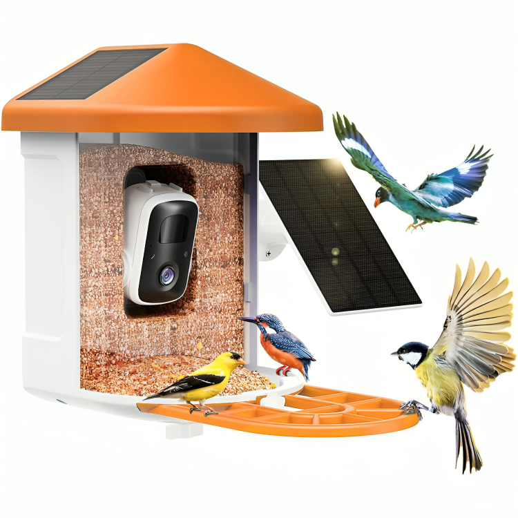 BirdEye Solar - Slimme Vogelvoerautomaat Camera met Zonne-energie – 2K HD, AI Herkenning & Weersbestendig